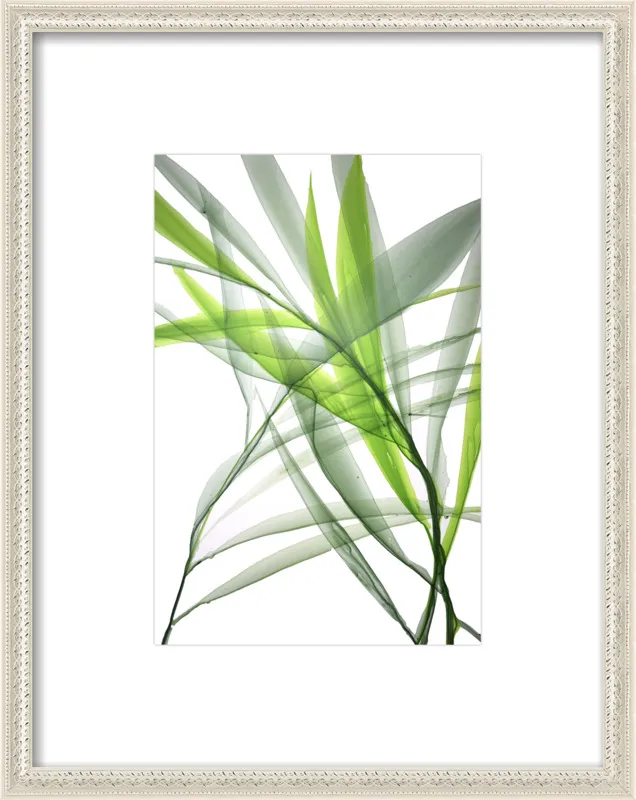 Tropical Study no. 3 by Marina Dunbar  for Artfully Walls