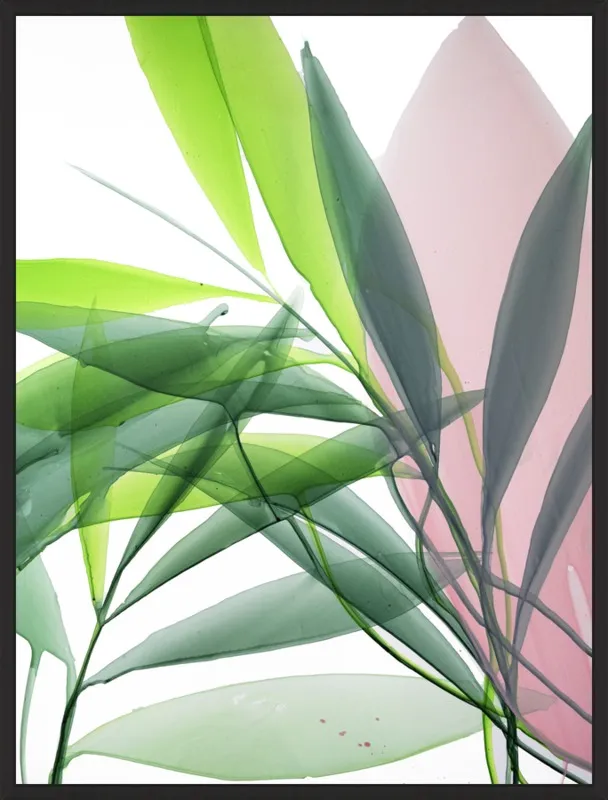 Tropical Study no. 15 by Marina Dunbar  for Artfully Walls