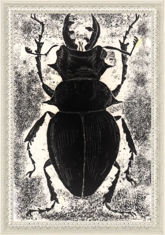 Black Beetle on White by Tennopent Sooster for Artfully Walls