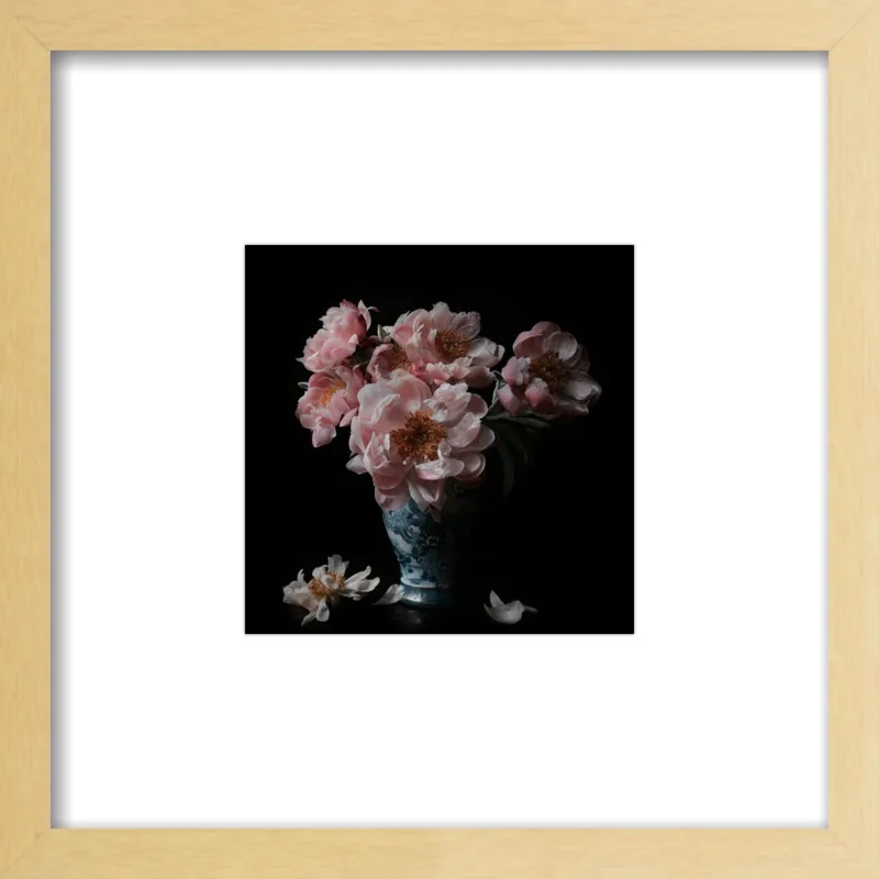 Pink Peonies  by Lucy Snowe for Artfully Walls