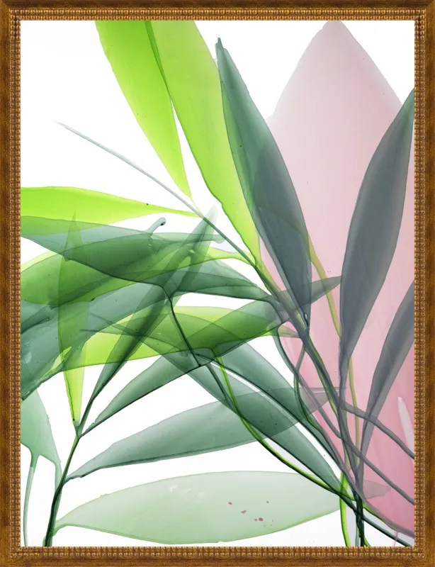 Tropical Study no. 15 by Marina Dunbar  for Artfully Walls