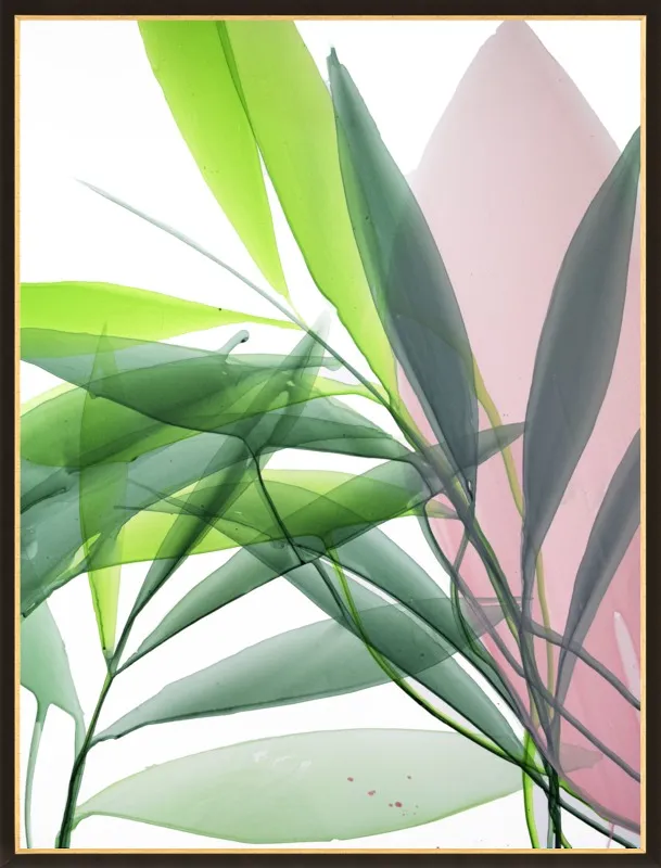 Tropical Study no. 15 by Marina Dunbar  for Artfully Walls