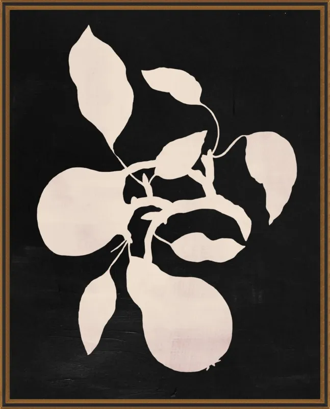 pears black and white by Ruti Shaashua for Artfully Walls