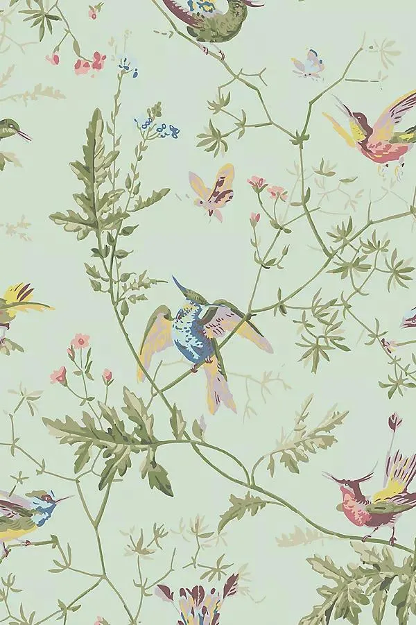 Hummingbirds Nature Wallpaper