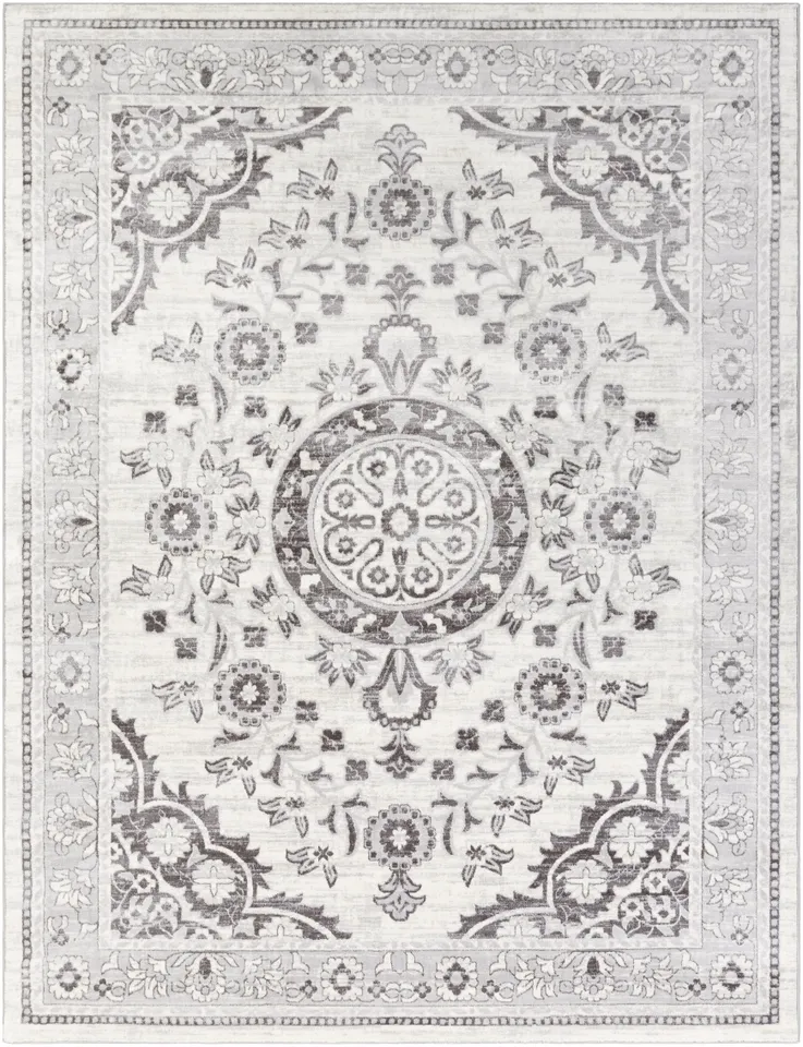 Wanderlust Gray Indoor 8'10" x 12'4" Machine Woven Rug