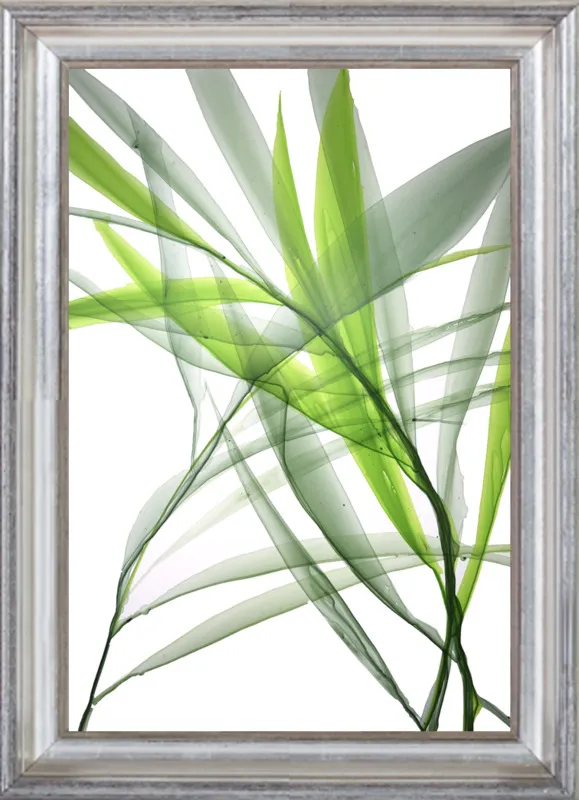 Tropical Study no. 3 by Marina Dunbar  for Artfully Walls