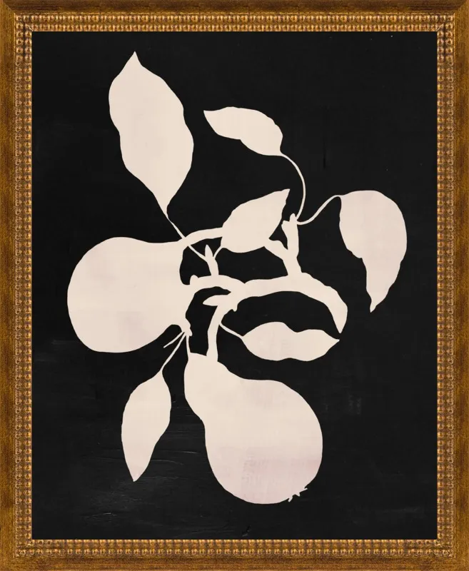 pears black and white by Ruti Shaashua for Artfully Walls