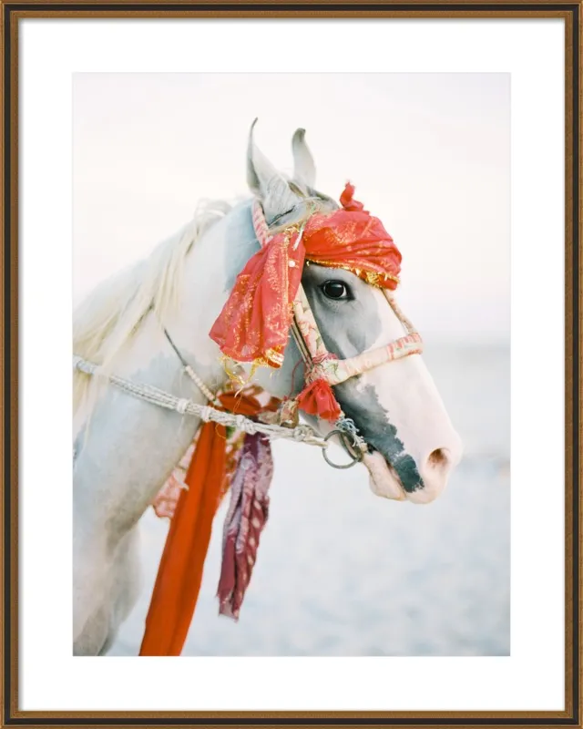Marwari by Andrew Jacona for Artfully Walls