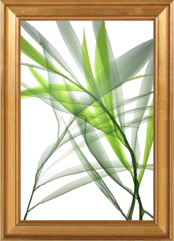 Tropical Study no. 3 by Marina Dunbar  for Artfully Walls