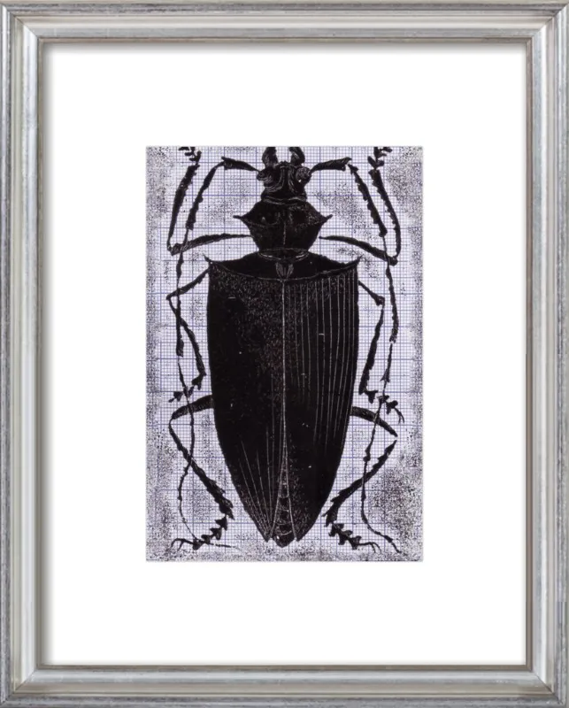 Black Beetle on Grey by Tennopent Sooster for Artfully Walls