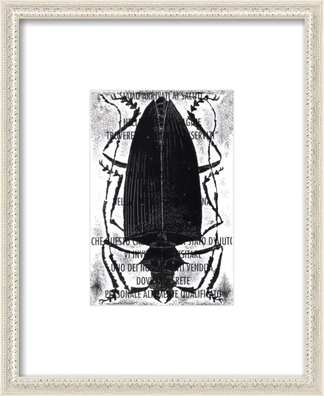 Black Beetle on Words by Tennopent Sooster for Artfully Walls