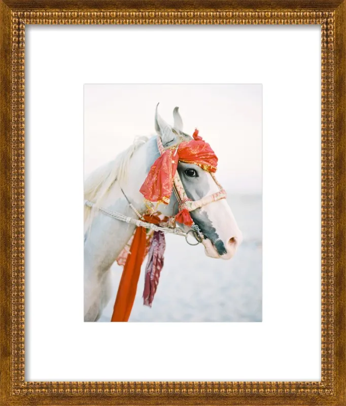Marwari by Andrew Jacona for Artfully Walls