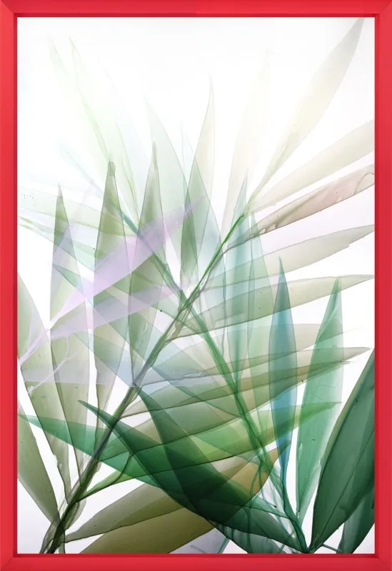 Tropical Study no. 8 by Marina Dunbar  for Artfully Walls