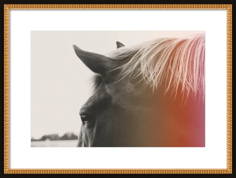 Pink Pony by Alicia Bock for Artfully Walls