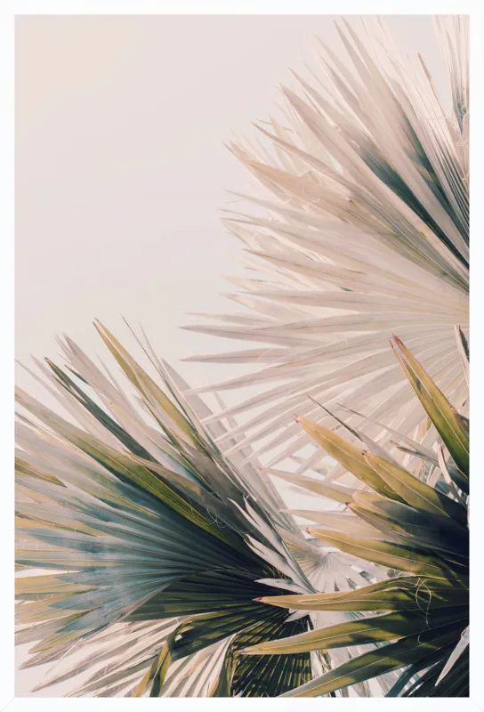 Capacity by Alicia Bock for Artfully Walls