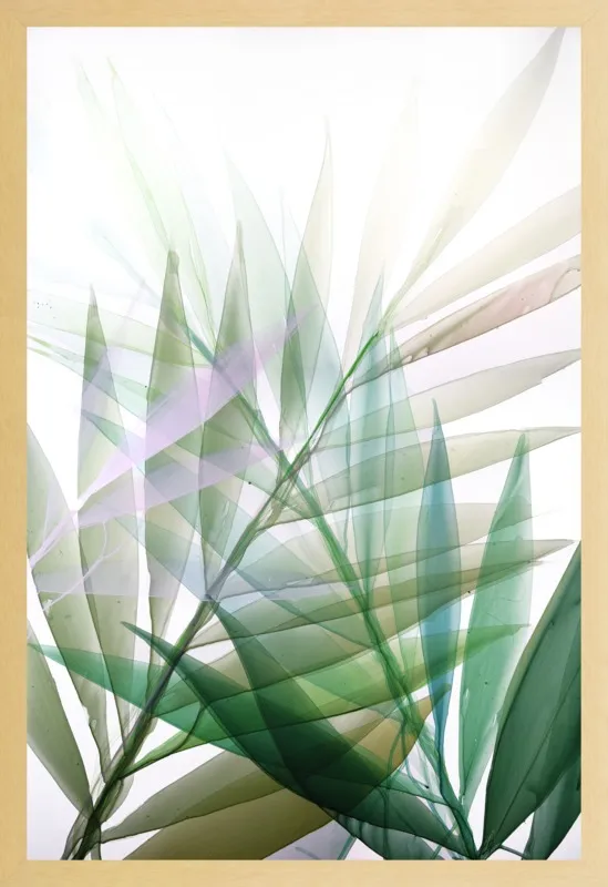 Tropical Study no. 8 by Marina Dunbar  for Artfully Walls