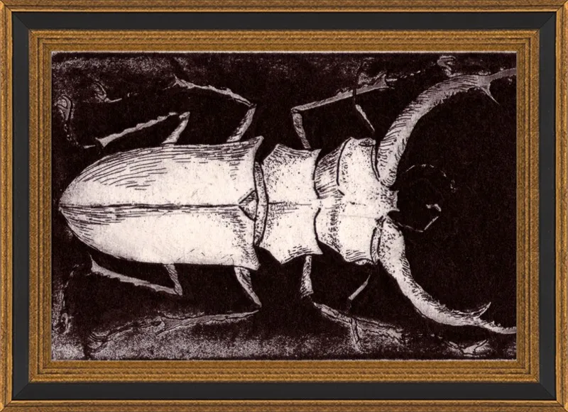 White Beetle on Dark Brown by Tennopent Sooster for Artfully Walls