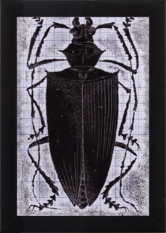 Black Beetle on Grey by Tennopent Sooster for Artfully Walls