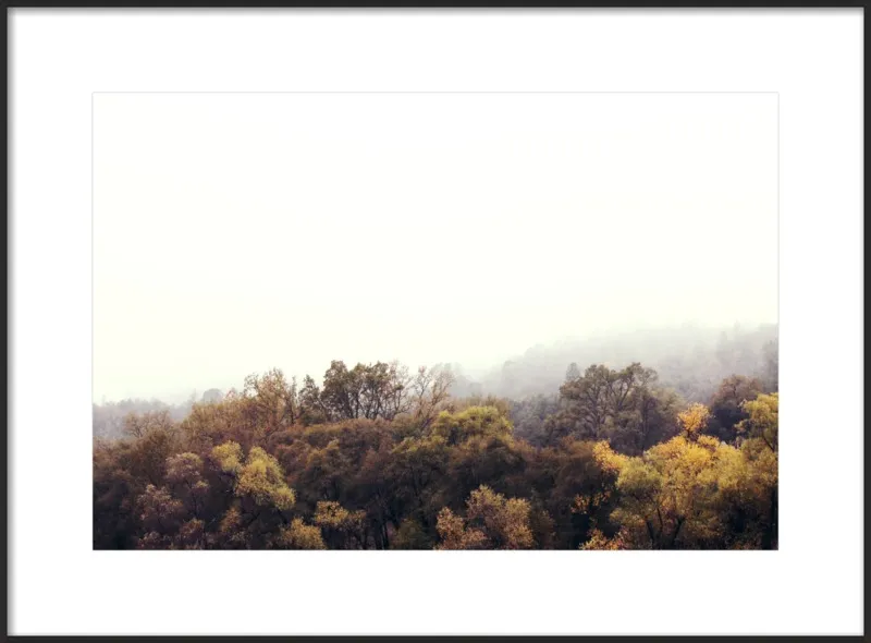 Autumn Afternoons by Hope Bainbridge  for Artfully Walls