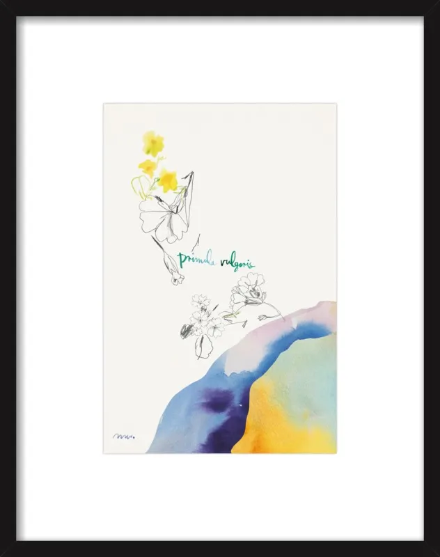 Primula Vulgaris by META WRABER for Artfully Walls