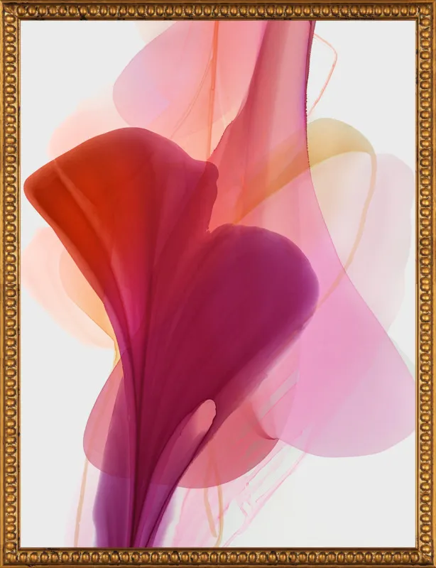 Abstract Flora Bloomlands 33 by Marta Spendowska for Artfully Walls