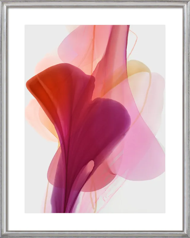 Abstract Flora Bloomlands 33 by Marta Spendowska for Artfully Walls