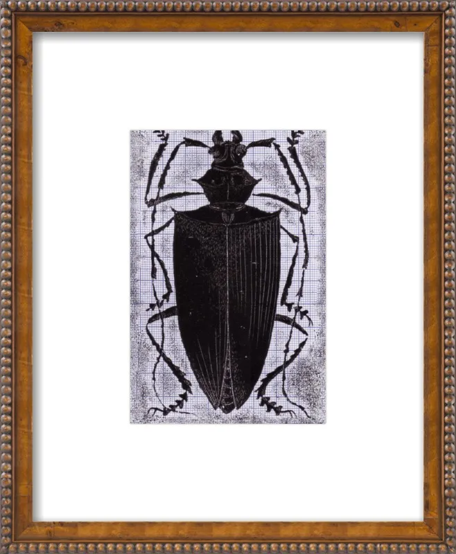 Black Beetle on Grey by Tennopent Sooster for Artfully Walls