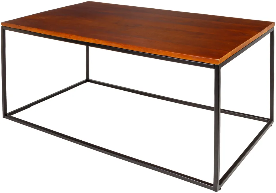 Aryaa  18"H x 22"W x 42"D Coffee Table