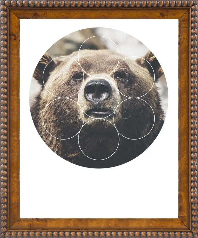 Big Bear Buddy - Geometric Photography by Emiliano Deificus for Artfully Walls