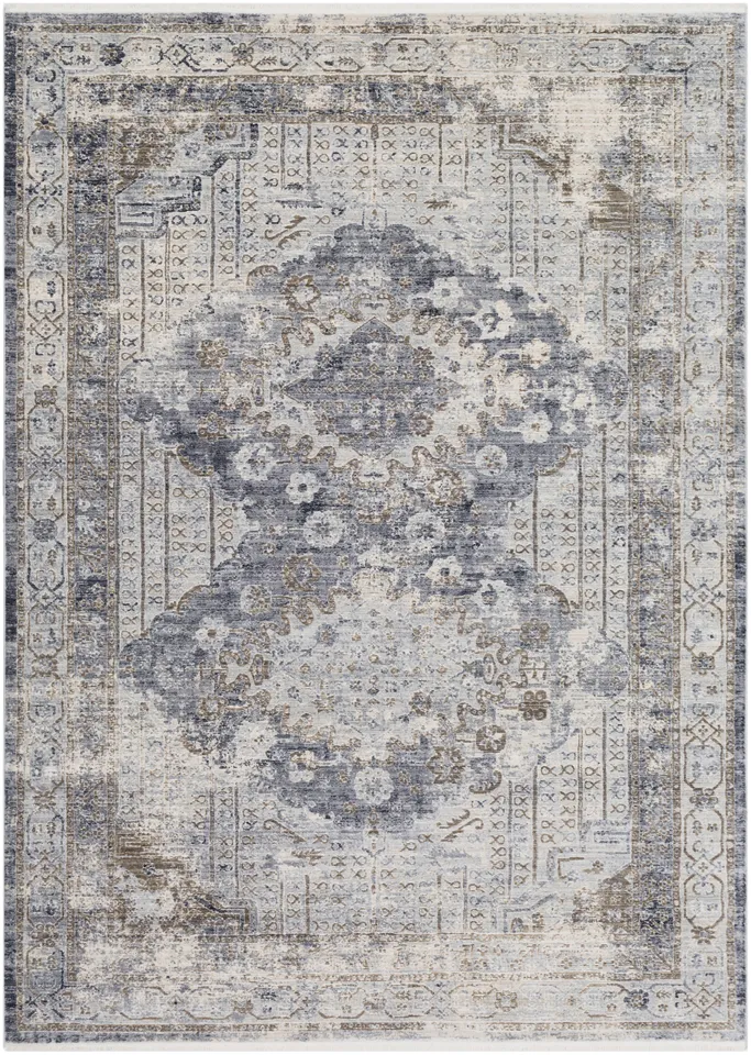 Liverpool Gray Indoor 2'7" x 4'11" Machine Woven Rug