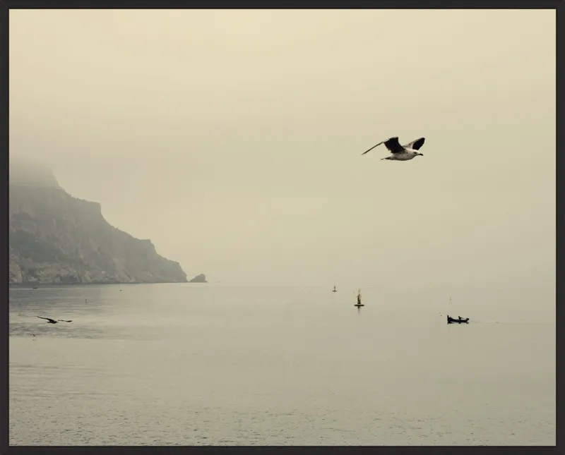 one day I will fly away by Ingrid Beddoes for Artfully Walls