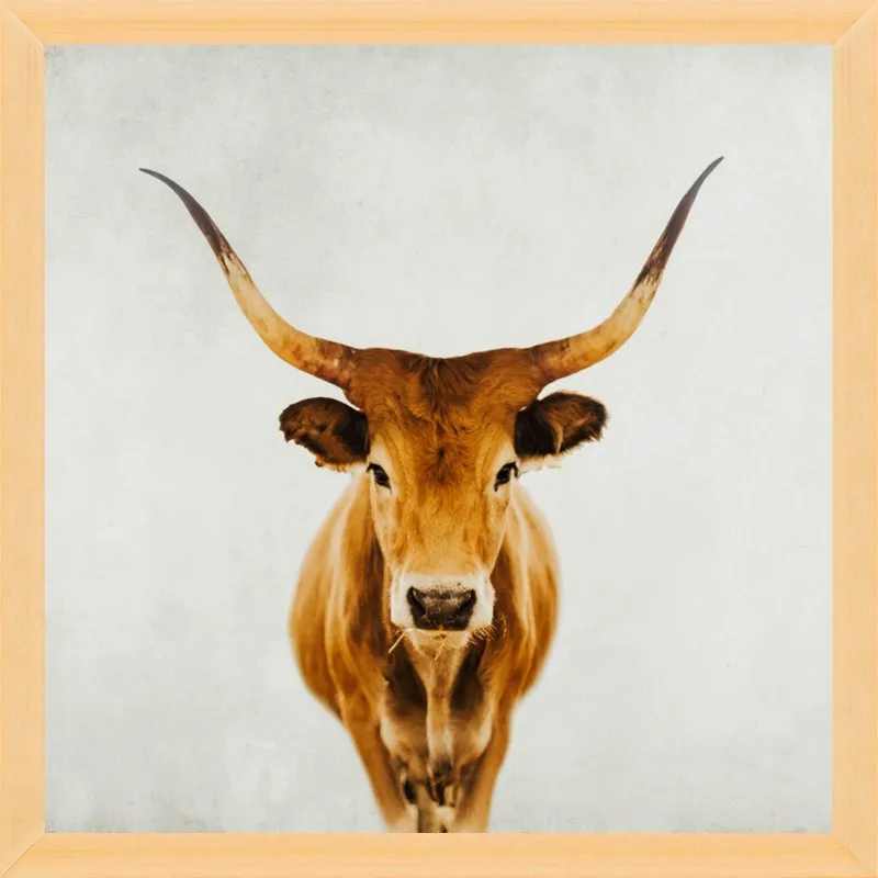 Honey by Ingrid Beddoes for Artfully Walls