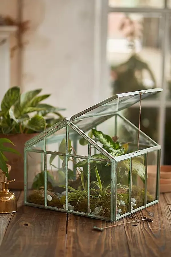 Greenhouse Verdigris Iron Terrarium