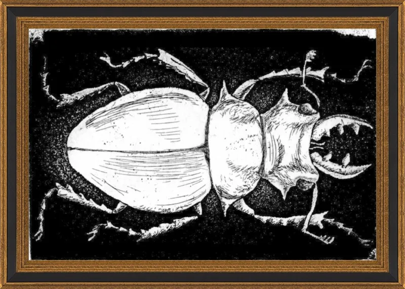 White Beetle on Black by Tennopent Sooster for Artfully Walls