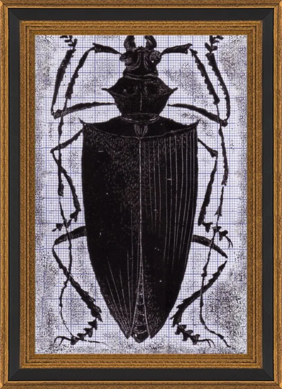 Black Beetle on Grey by Tennopent Sooster for Artfully Walls