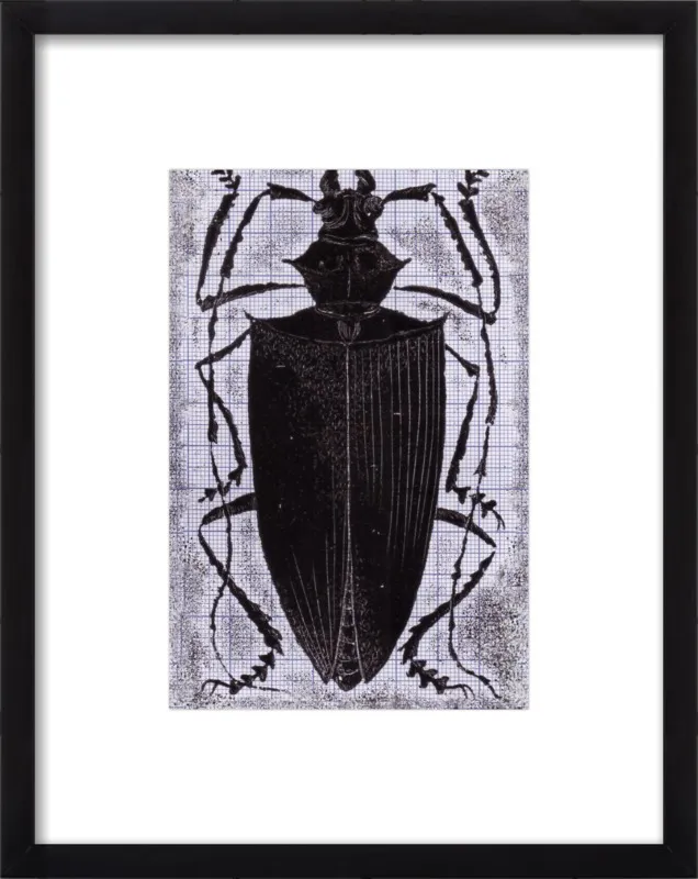 Black Beetle on Grey by Tennopent Sooster for Artfully Walls