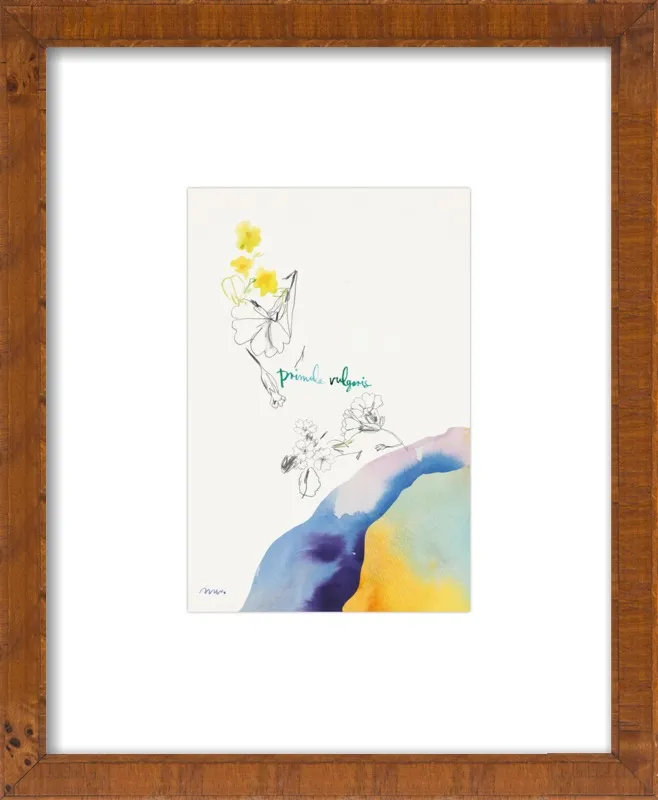 Primula Vulgaris by META WRABER for Artfully Walls