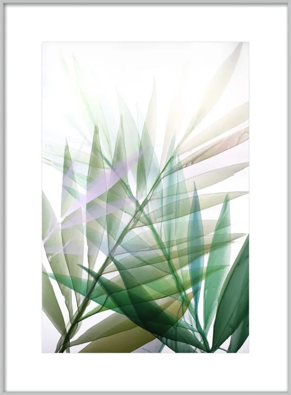 Tropical Study no. 8 by Marina Dunbar  for Artfully Walls