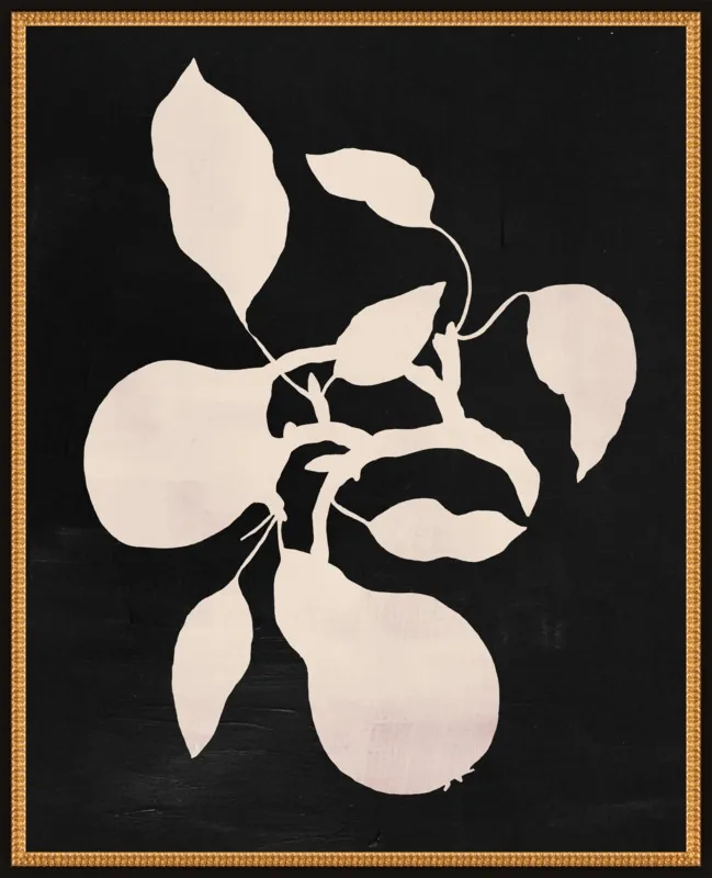 pears black and white by Ruti Shaashua for Artfully Walls