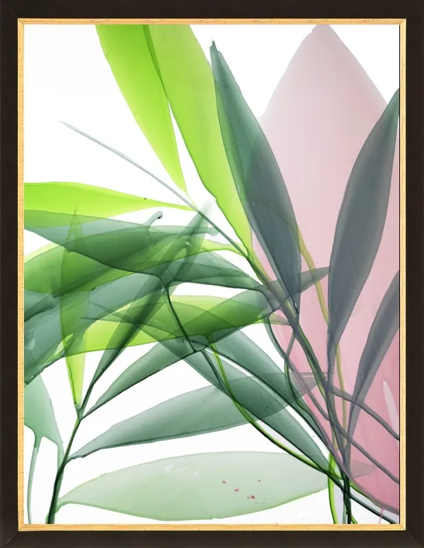 Tropical Study no. 15 by Marina Dunbar  for Artfully Walls