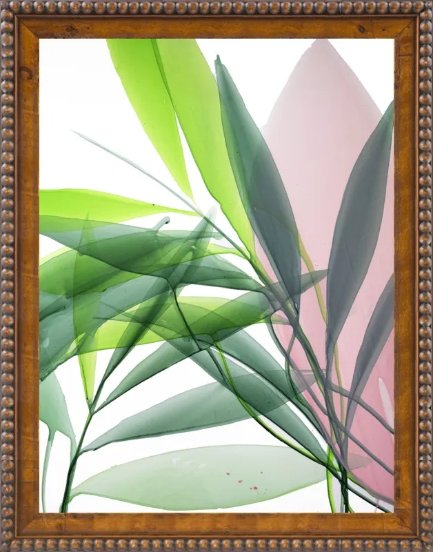 Tropical Study no. 15 by Marina Dunbar  for Artfully Walls