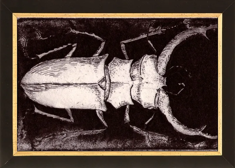 White Beetle on Dark Brown by Tennopent Sooster for Artfully Walls