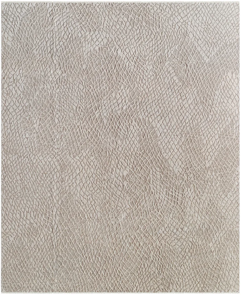 Reyyan Beige Indoor 8' x 10' Handmade Rug