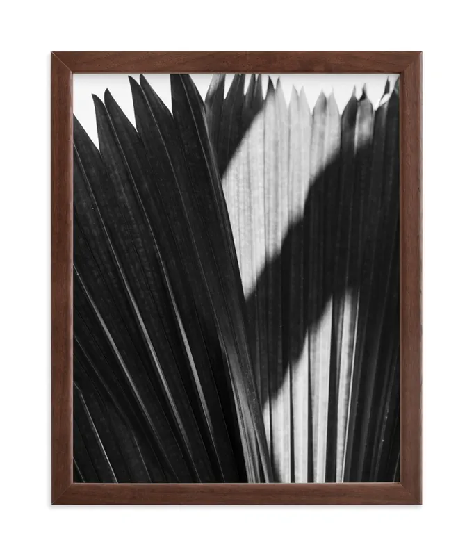 Palmery 2 Limited Edition Fine Art Print