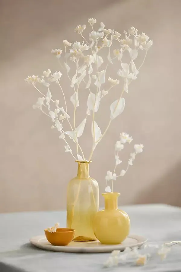 Preserved Bleached Bupleurum Bunch
