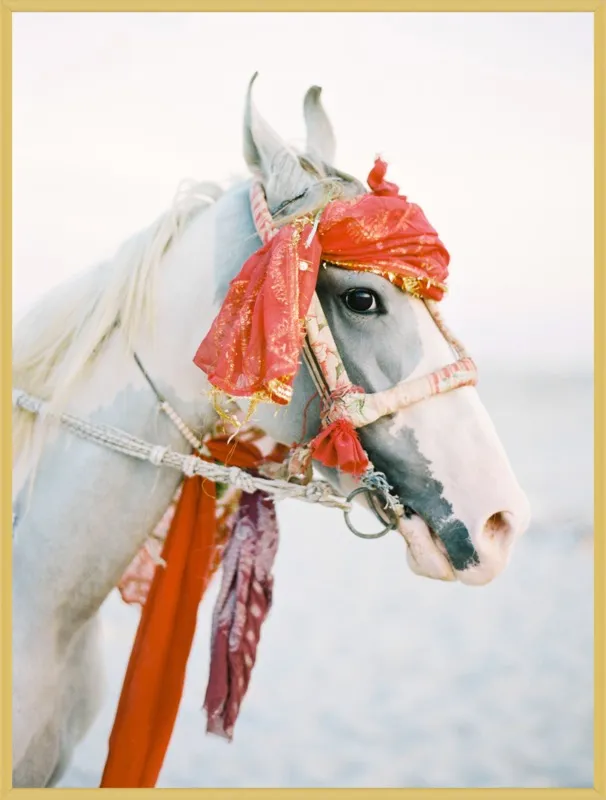 Marwari by Andrew Jacona for Artfully Walls