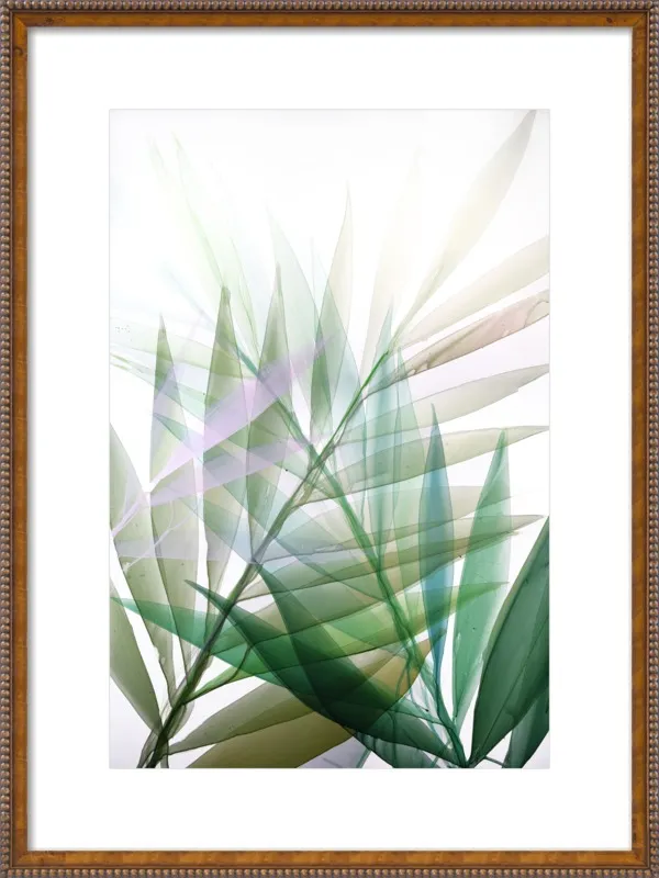 Tropical Study no. 8 by Marina Dunbar  for Artfully Walls