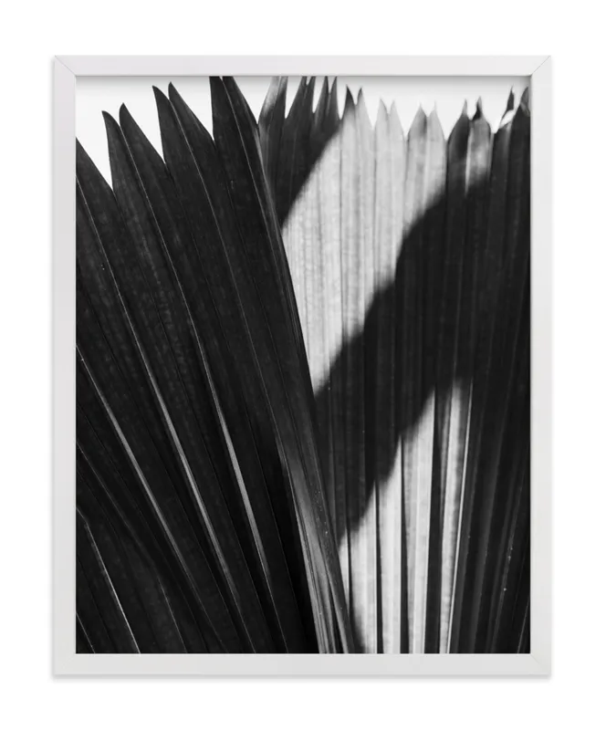 Palmery 2 Limited Edition Fine Art Print