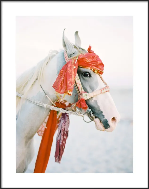 Marwari by Andrew Jacona for Artfully Walls