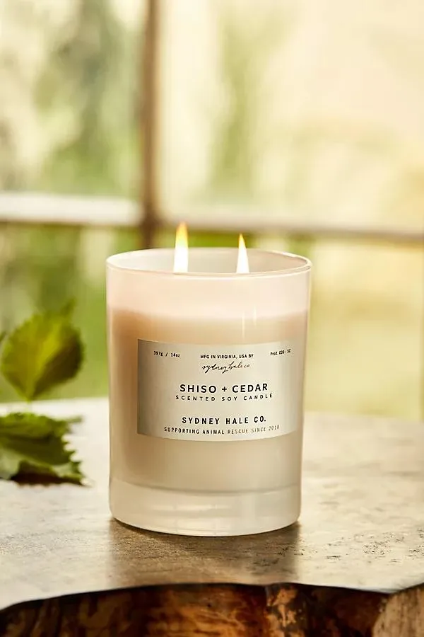 Terrain Sydney Hale Candle, Shiso + Cedar